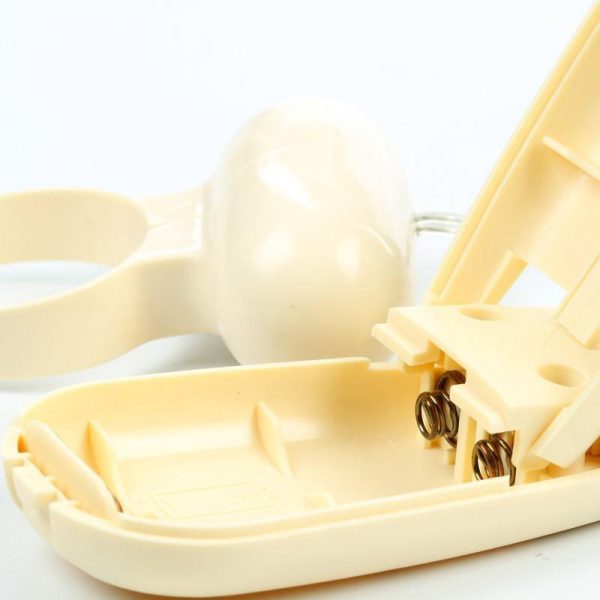pocket_exotic_ivory_ring_1